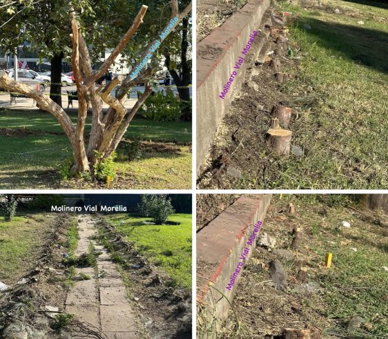 ⚠️ Denuncia Ciudadana  ⚠️ Se queja ciudadano contra dependencia ambiental de Morelia