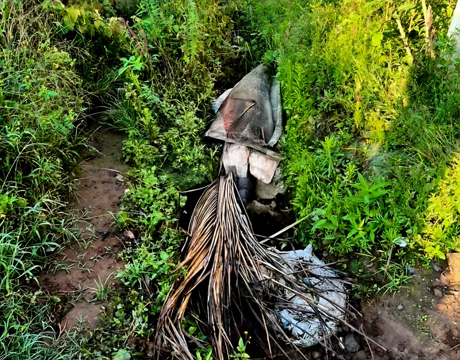 Localizan a un hombre as3sinad0 a un costado de la carretera "libre" Uruapan-Pátzcuaro