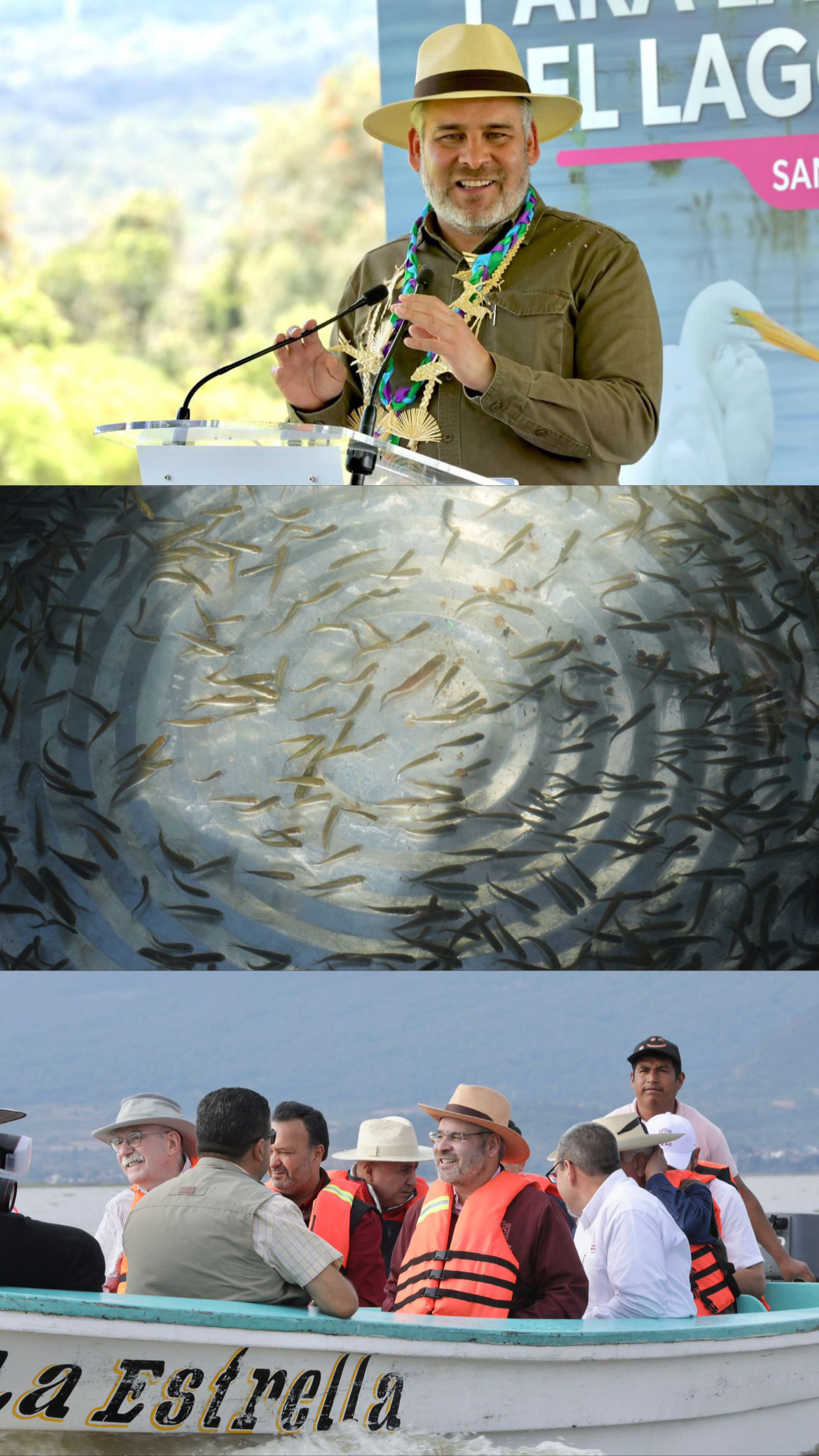 Más de 80 mil peces liberados en el lago de Pátzcuaro como parte del plan de conservación: Bedolla